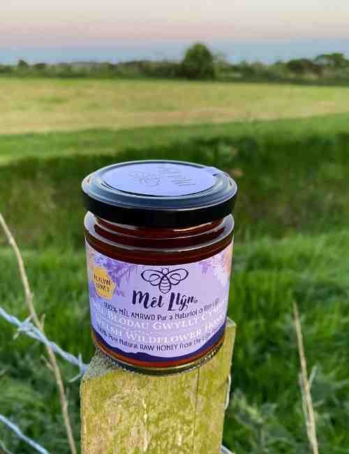 Mêl Llŷn - 227g Welsh Raw Seasonal Wildflower Honey (Autumn) - Limited Edition - Mêl Llŷn