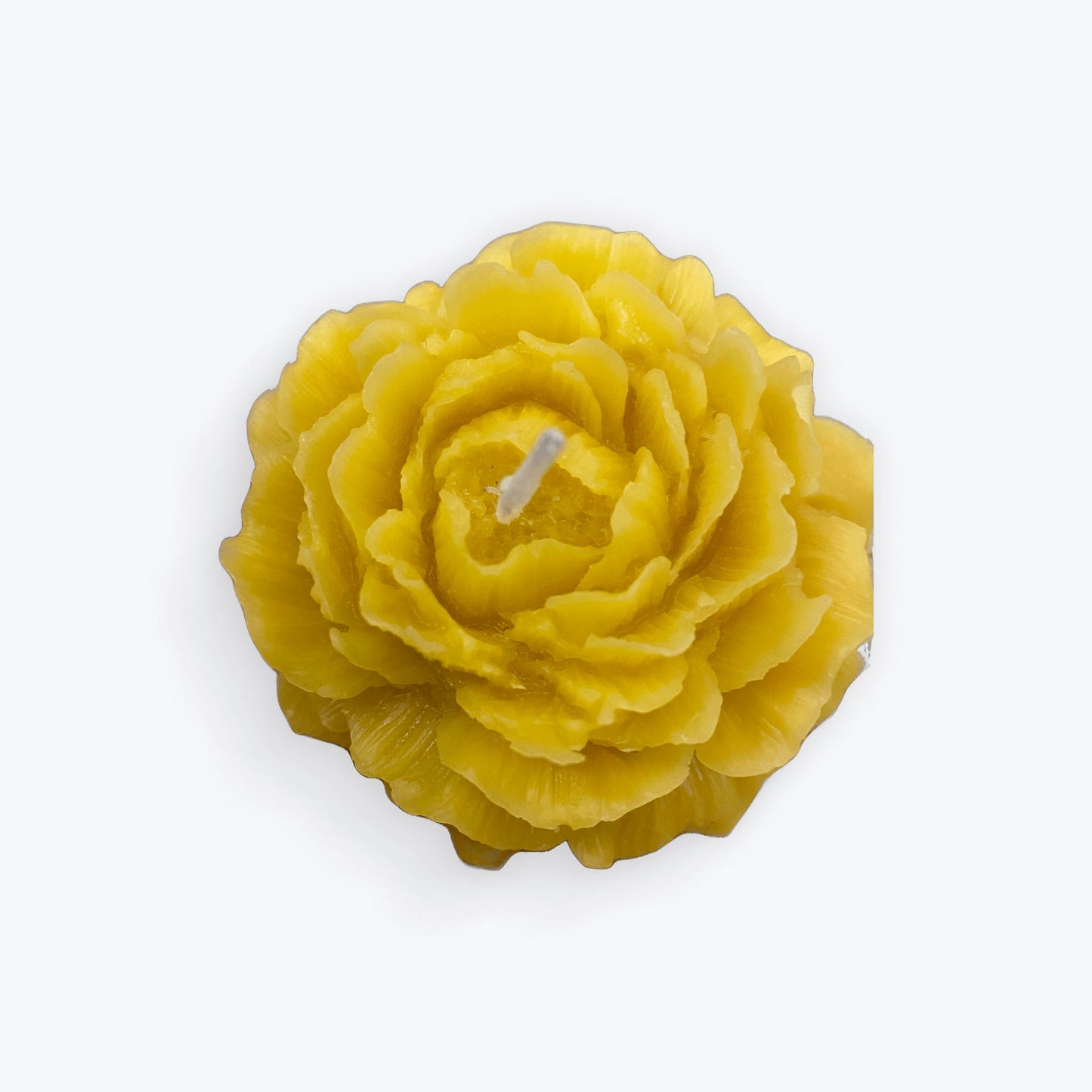 Natural 100% British Beeswax Rose Handmade Candle - Mêl Llŷn